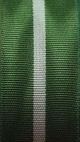 Муаровая лента зеленая с серым